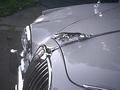 Jaguar Mark II