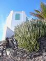 Lanzarote