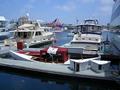 Newport Beach